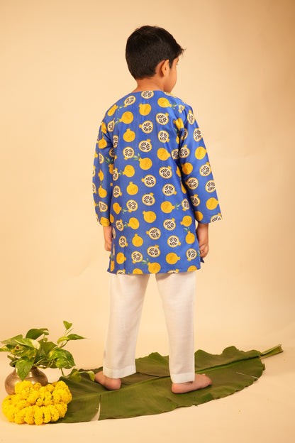 Anaar Kurta Set (Boys Kurta Pyjama)