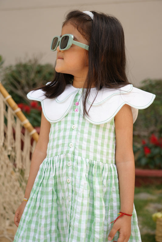 Mint Gingham Petal Collar Dress